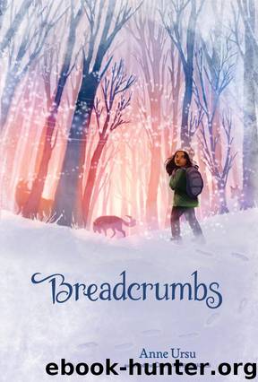 Breadcrumbs by Anne Ursu; Erin Mcguire
