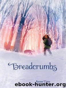 Breadcrumbs by Anne Ursu