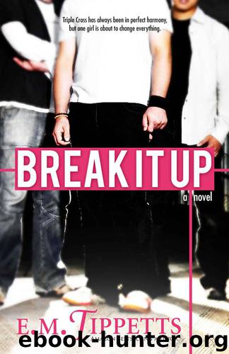 Break It Up by Tippetts E.M