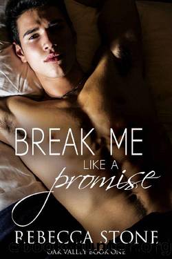Break Me Like a Promise: A Steamy Small Town Second Chance Romance (Oak Valley Series Book 1) by Rebecca Stone