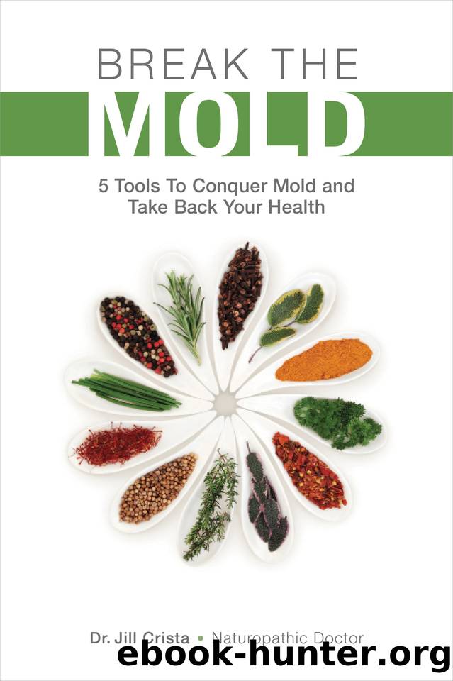 Break The Mold: 5 Tools to Conquer Mold and Take Back Your Health by Crista Dr. Jill