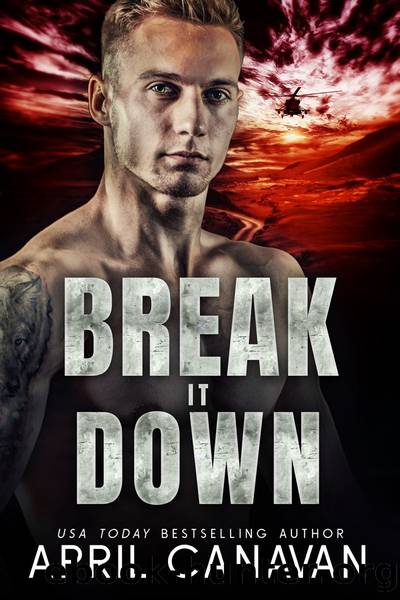 Break it Down by April Canavan