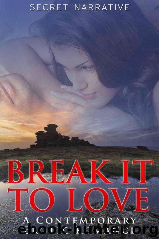 Break it to Love by Secret Narrative