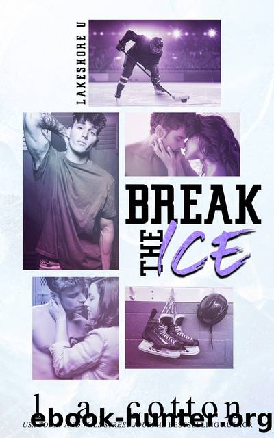 Break the Ice by L A Cotton