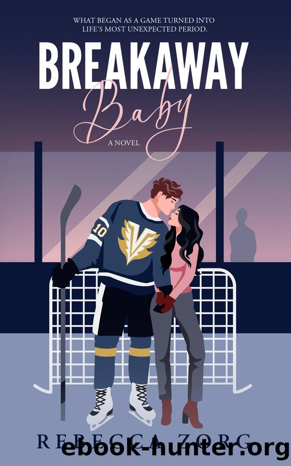 Breakaway Baby: A Novel by Rebecca Zorg