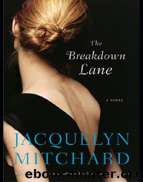 Breakdown Lane, The by Jacquelyn Mitchard