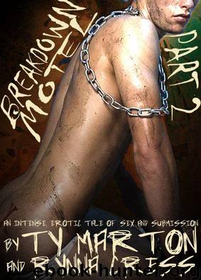 Breakdown Motel Part 2 (Gay BDSM Erotica) by Ty Marton