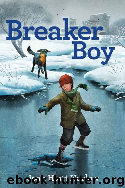 Breaker Boy by Joan Hiatt Harlow