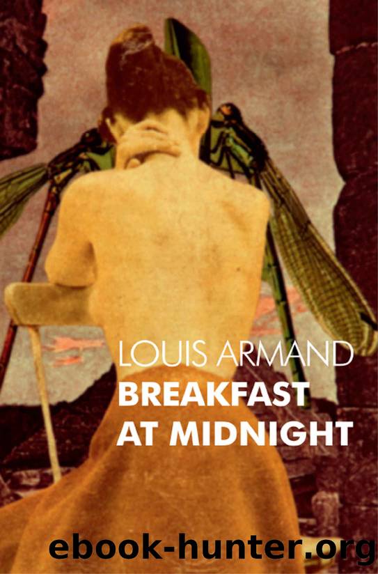 Breakfast at Midnight by Louis Armand