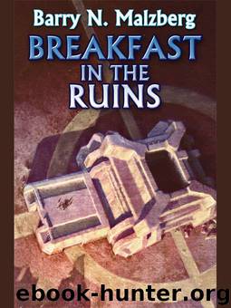 Breakfast in the Ruins by Barry N. Malzberg
