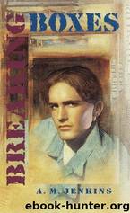 Breaking Boxes by A. M. Jenkins