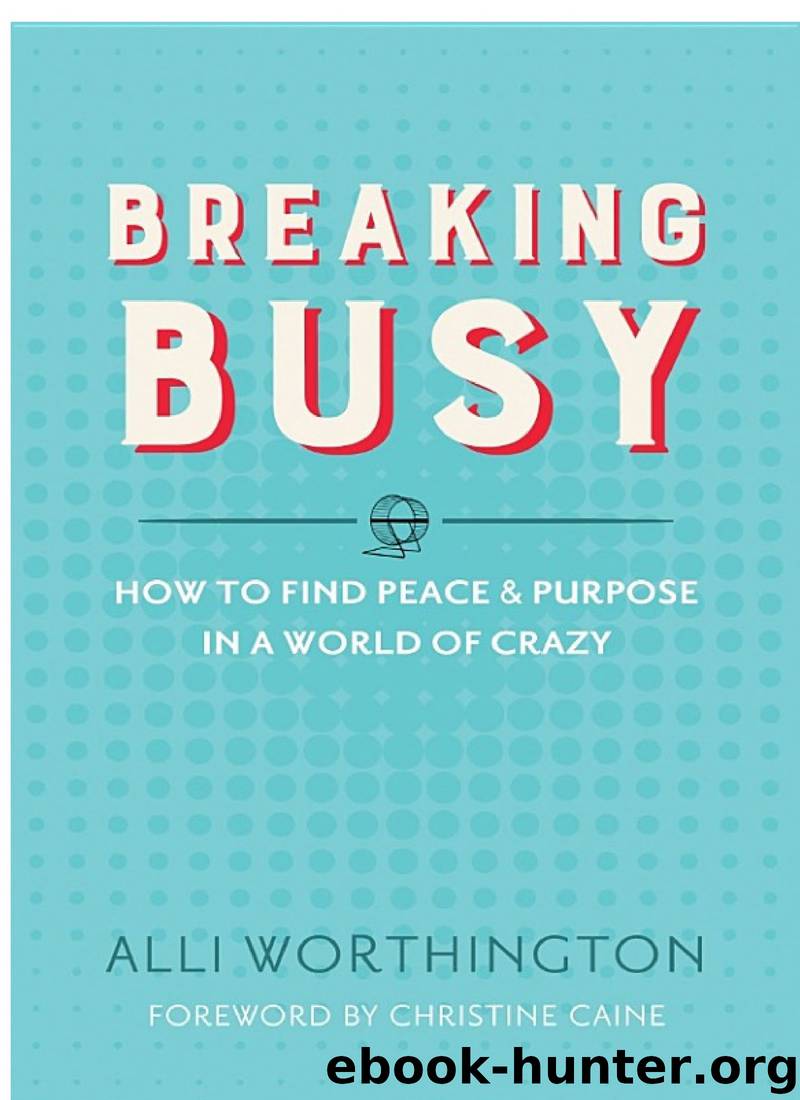 Breaking Busy: How to Find Peace and Purpose in a World of Crazy by Alli Worthington