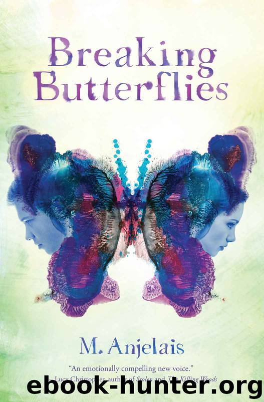 Breaking Butterflies by M. Anjelais