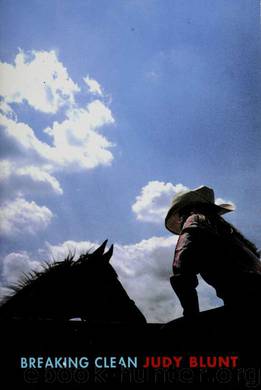 Breaking Clean by Judy Blunt