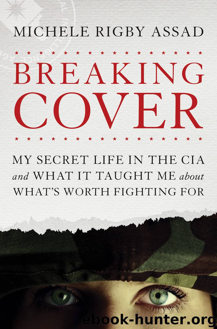 Breaking Cover by Michele Rigby Assad