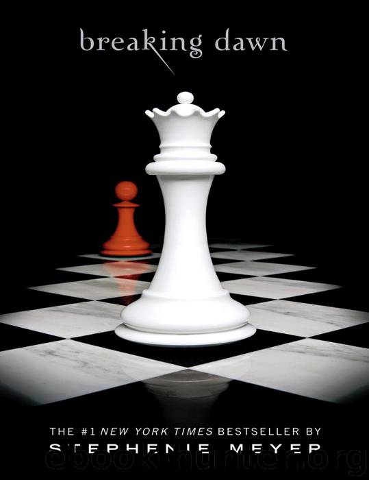 Breaking Dawn: Twilight by Stephenie Meyer