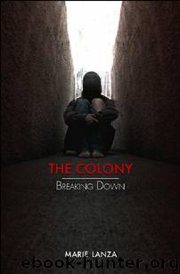 Breaking Down by Marie Lanza