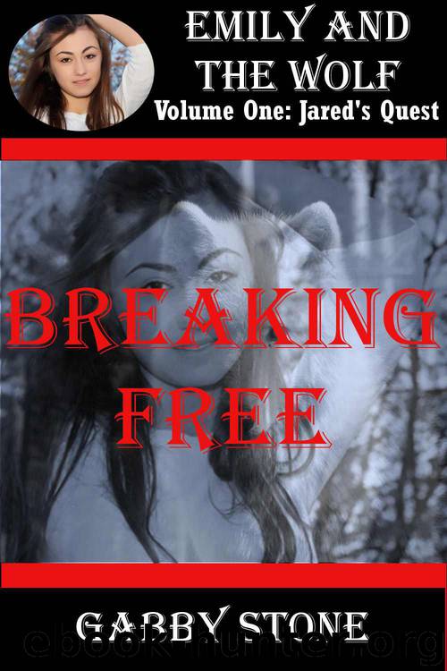 Breaking Free by Gabby Stone