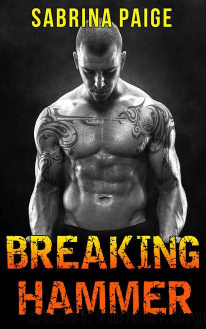 Breaking Hammer by Sabrina Paige