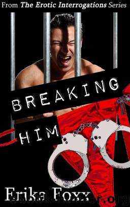 Breaking Him by Erika Foxx