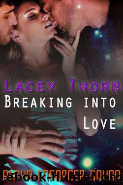 Breaking Into Love (Alpha Enforcer Squad Book 3) by Lacey Thorn