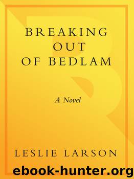 Breaking Out of Bedlam by Leslie Larson