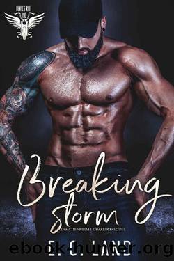 Breaking Storm by E.C. Land