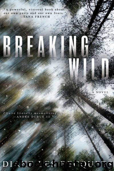 Breaking Wild by Becquets Diane Les