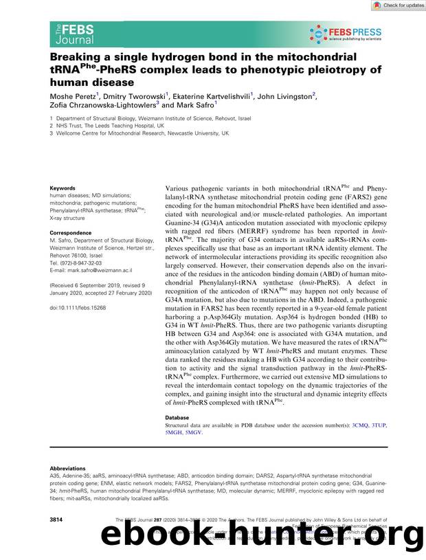 Breaking a single hydrogen bond in the mitochondrial tRNAPheâPheRS complex leads to phenotypic pleiotropy of human disease by Unknown