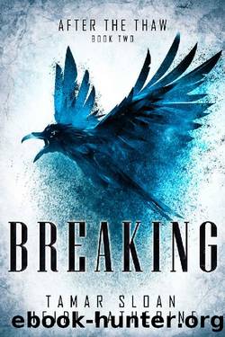 Breaking by Heidi Catherine & Tamar Sloan