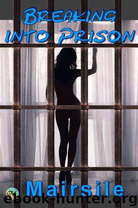 Breaking into Prison by Leabhair Mairsile