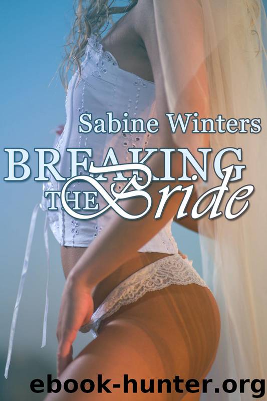 Breaking the Bride Bundle by Sabine Winters
