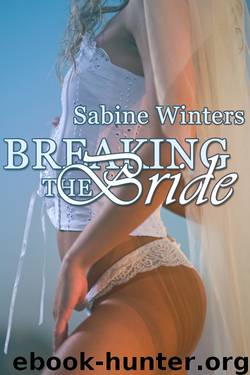 Breaking the Bride by Sabine Winters