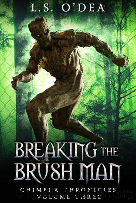 Breaking the Brush Men by L. S. O'Dea