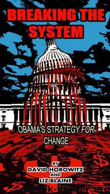 Breaking the System: Obama's Strategy for Change by Horowitz David