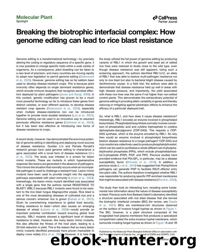 Breaking the biotrophic interfacial complex: How genome editing can lead to rice blast resistance by Vincent Were & Nicholas J. Talbot