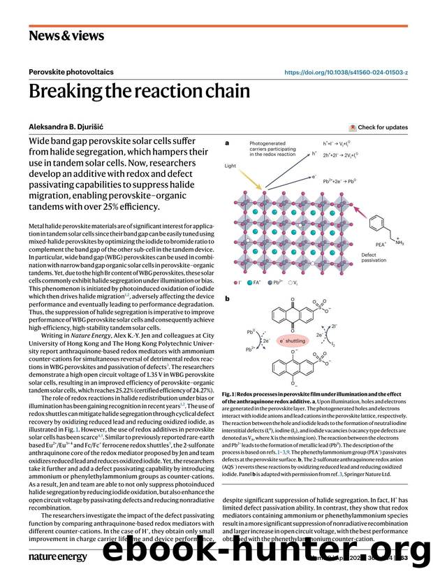 Breaking the reaction chain by Aleksandra B. Djurišić