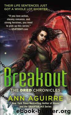 Breakout by Aguirre Ann