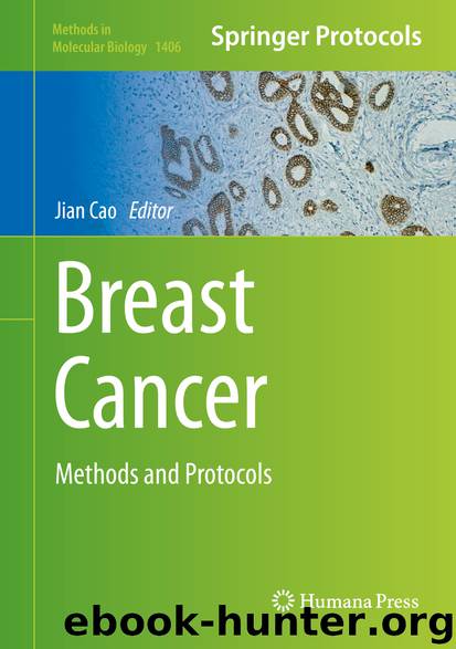 Breast Cancer by Jian Cao