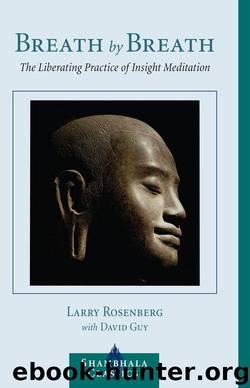 Breath by Breath: The Liberating Practice of Insight Meditation by Rosenberg Larry