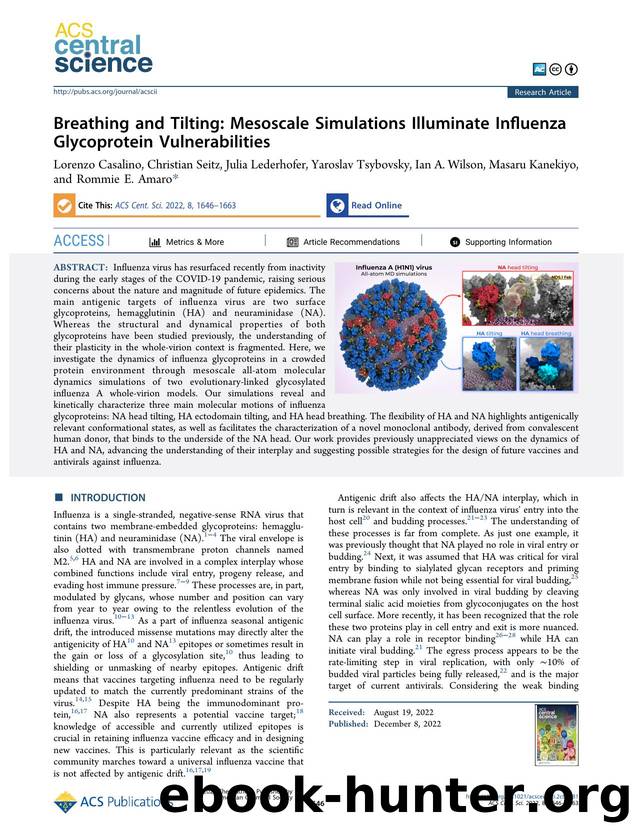 Breathing and Tilting: Mesoscale Simulations Illuminate Influenza Glycoprotein Vulnerabilities by unknow