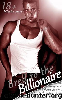 Bred to the Billionaire (Billionaire Lovers Series) by Mischa Mare