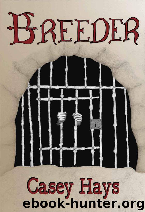 Breeder: An Arrow's Flight Novel by Hays Casey