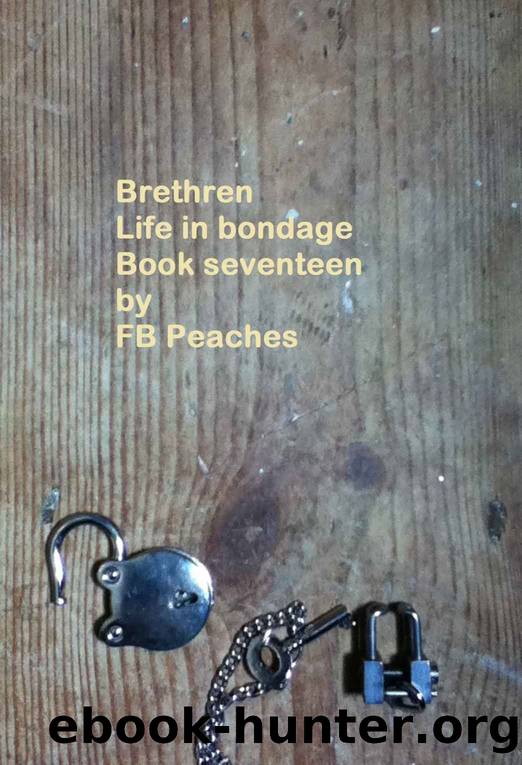 Brethren 17, life in bondage. Book Seventeen (Brethren life in bondage 17) by FB Peaches