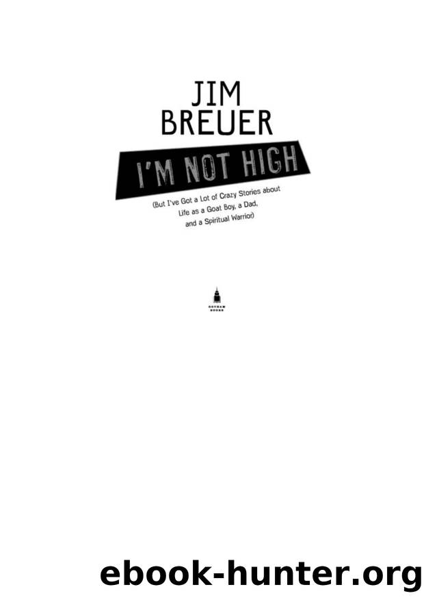 Breuer, Jim - I'm Not High by Breuer Jim