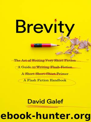 Brevity by David Galef