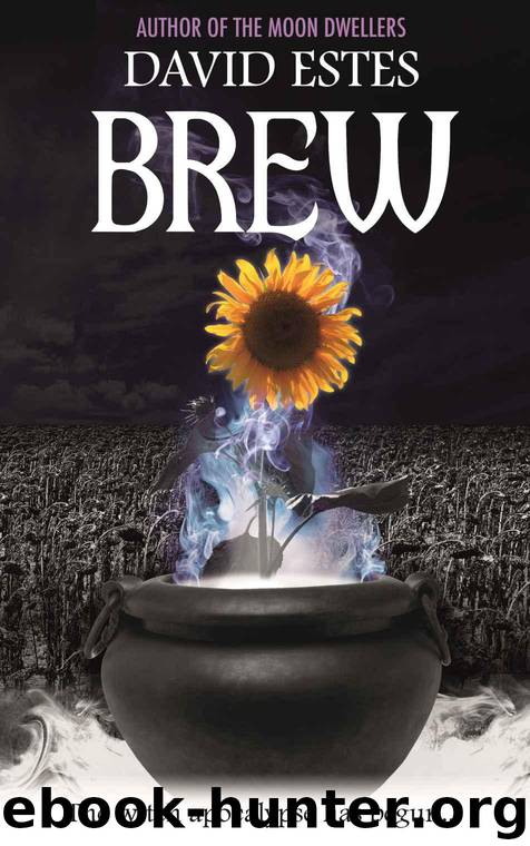 Brew (Salem's Revenge Book 1) by Estes David