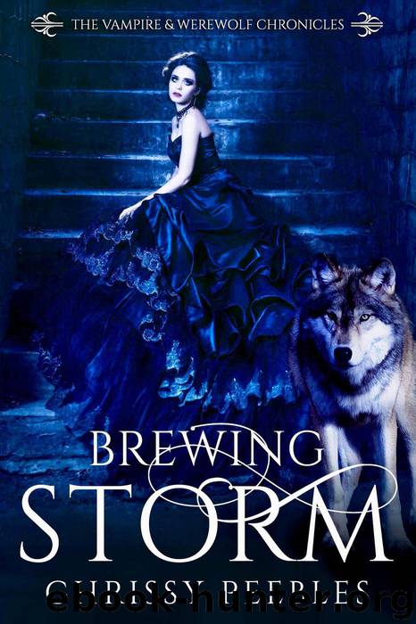 Brewing Storm by Chrissy Peebles