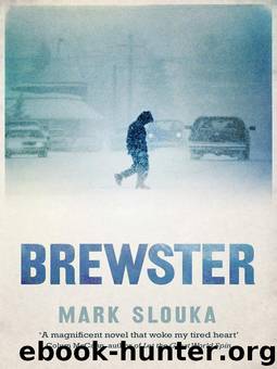 Brewster A Novel by Mark Slouka
