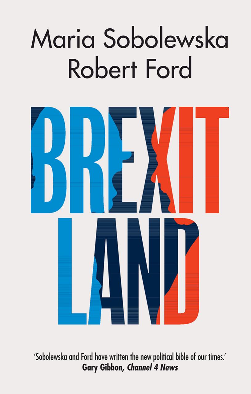 Brexitland: Identity, Diversity and the Reshaping of British Politics by Maria Sobolewska & Robert Ford